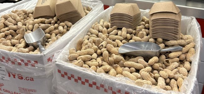 five_guys_2 five_guys_2