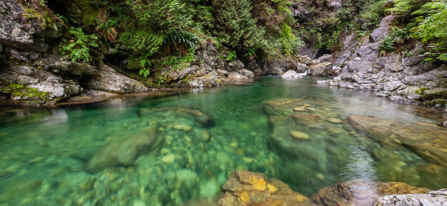 lynn_canyon_30_foot_pool