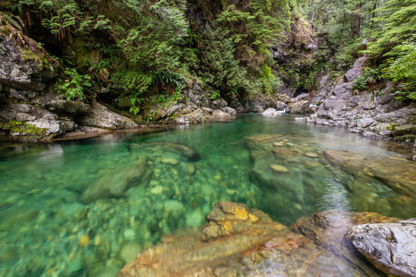 lynn_canyon_30_foot_pool