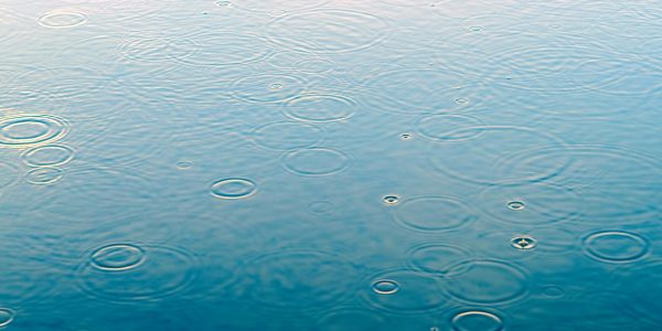 【留学生必見！】レインクーバーで失敗しない靴の選び方