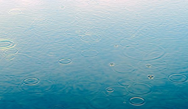 【留学生必見！】レインクーバーで失敗しない靴の選び方